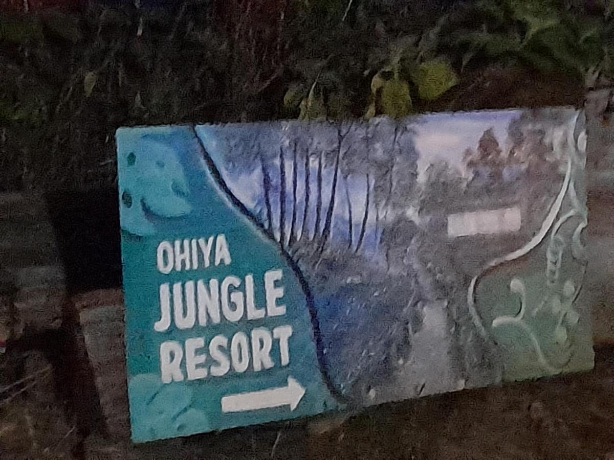 Ohiya Jungle Resort Exteriör bild